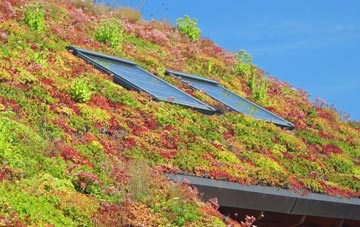 The Wern living roof systems