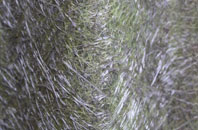 The Wern fibreglass roof work